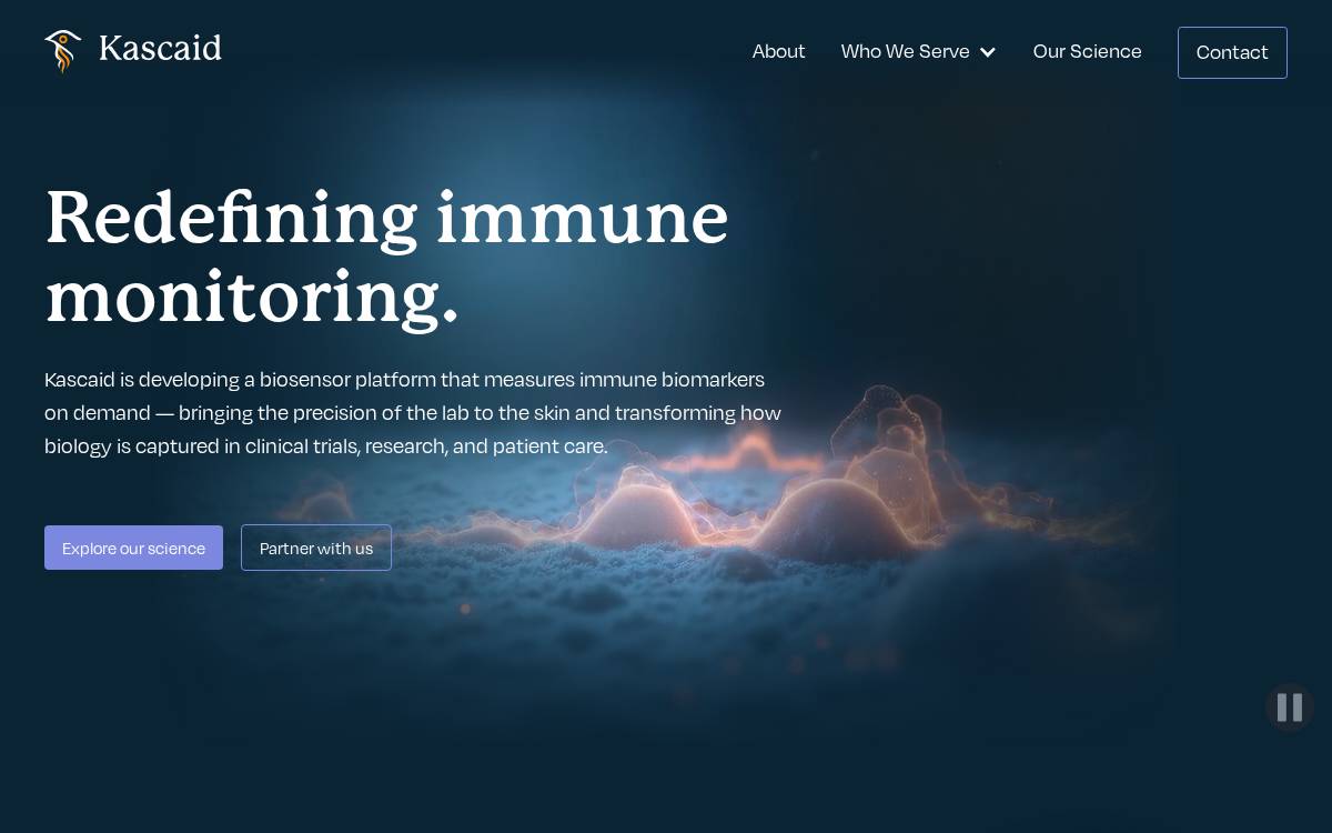 Kascaid website preview