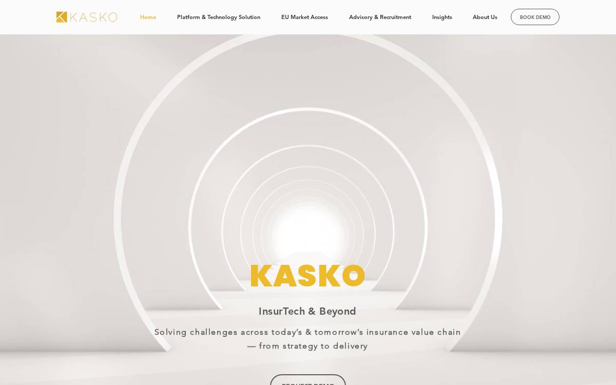 Kasko website preview