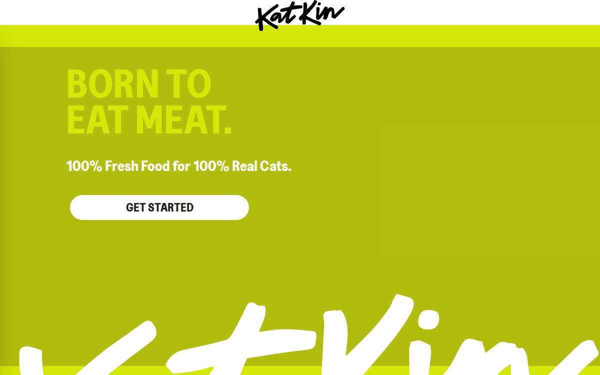 Katkin website preview
