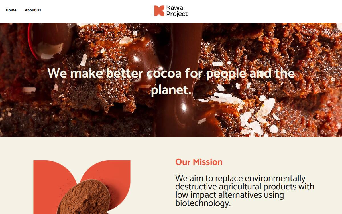 Kawa Project website preview