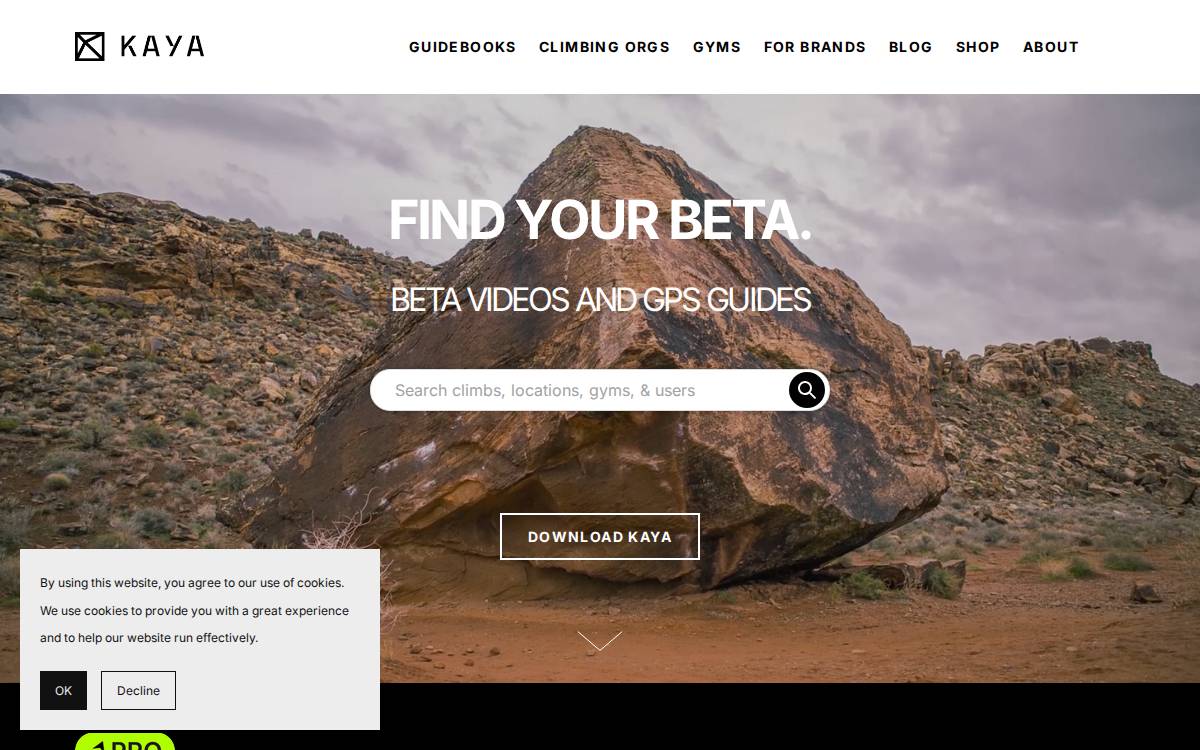 KAYA website preview