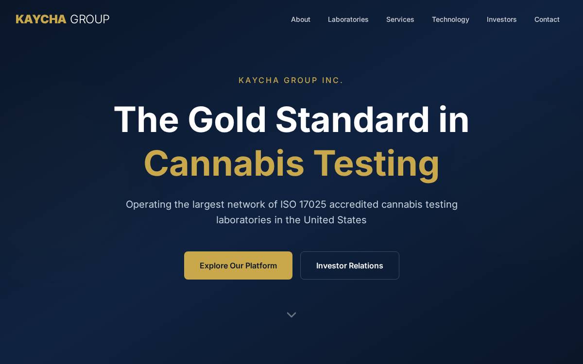 Kaycha Group website preview