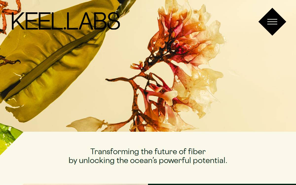 Keel Labs website preview