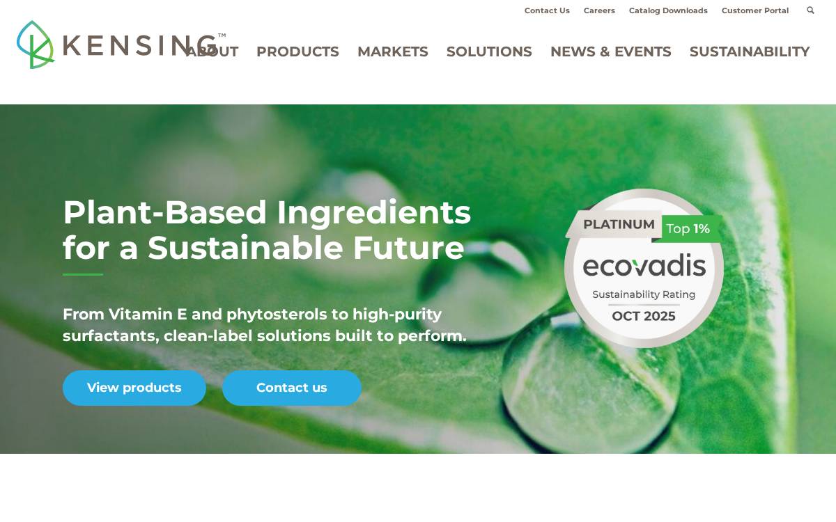 Kensingsolutions website preview