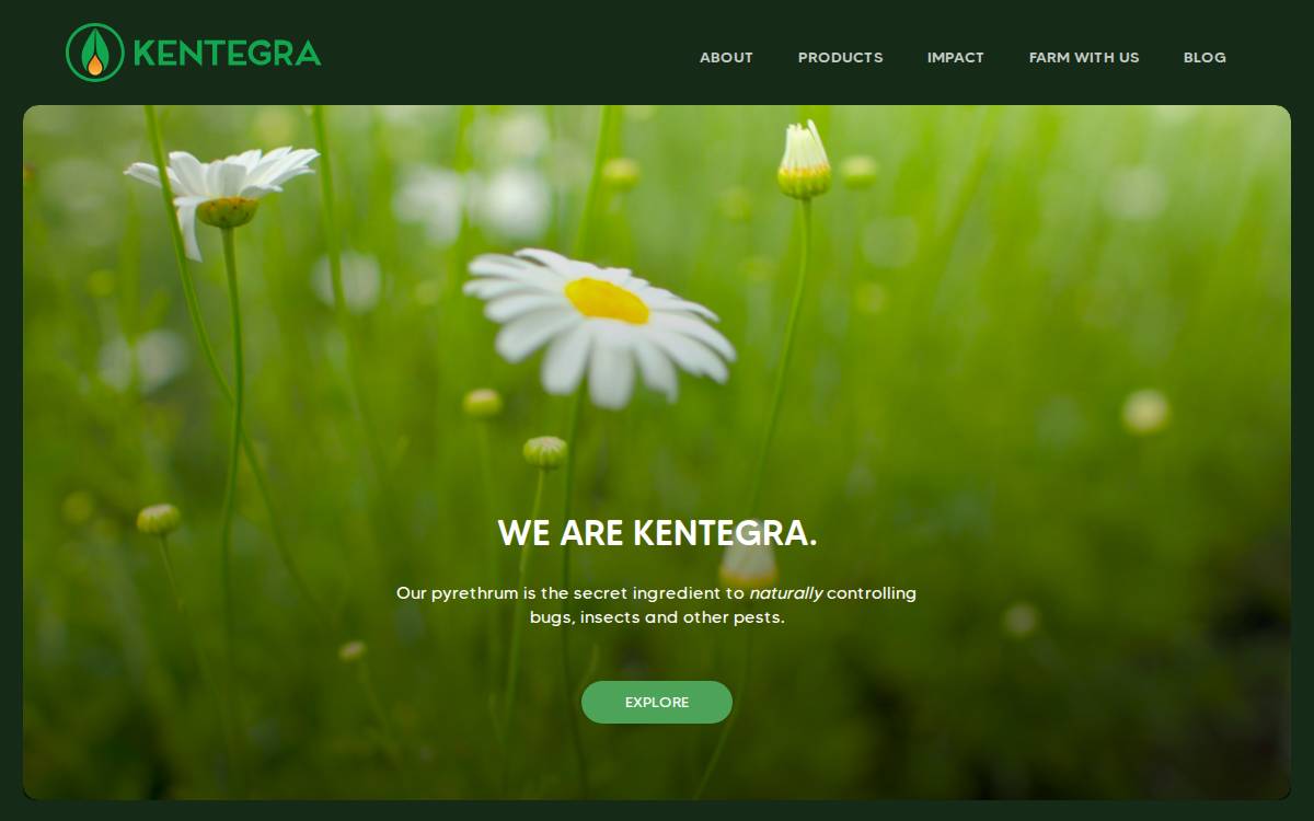 Kentegra website preview