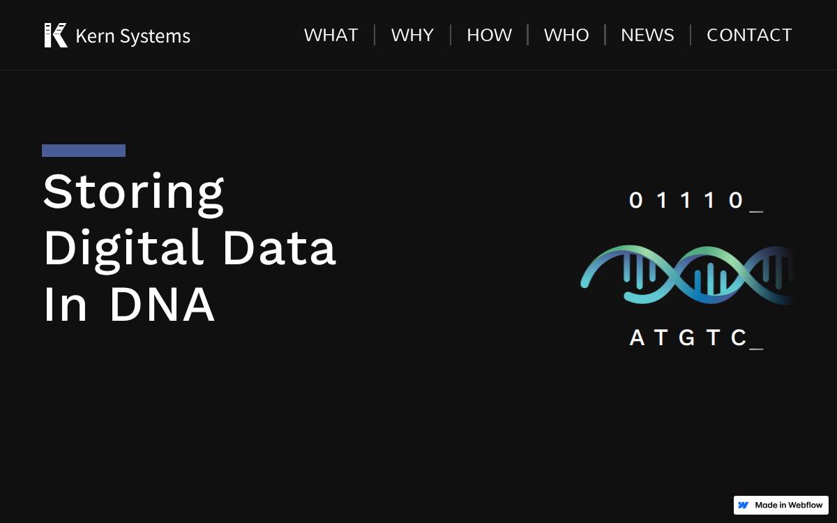 Kern Systems website preview