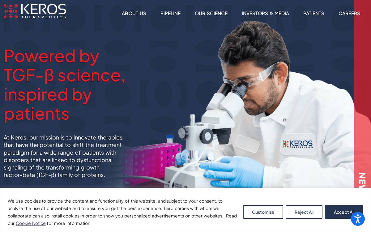 Kerostx website preview