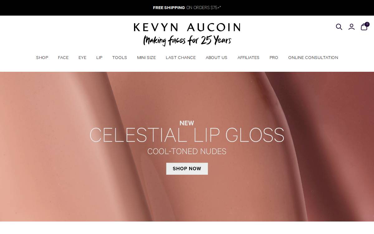 Kevyn Aucoin website preview