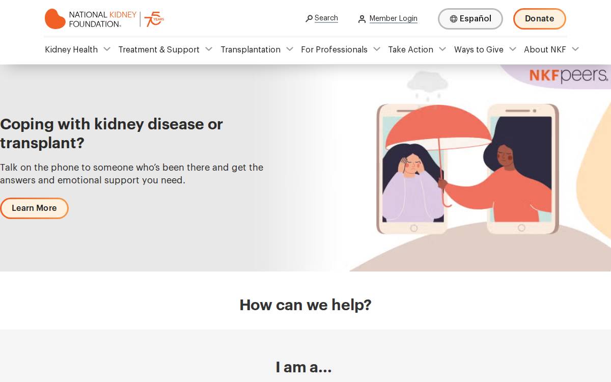 Kidney website preview