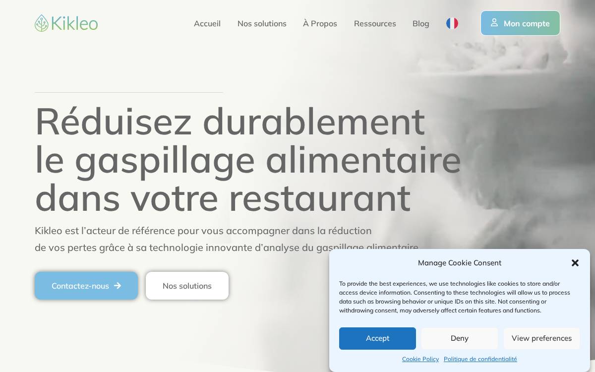 Kikleo website preview