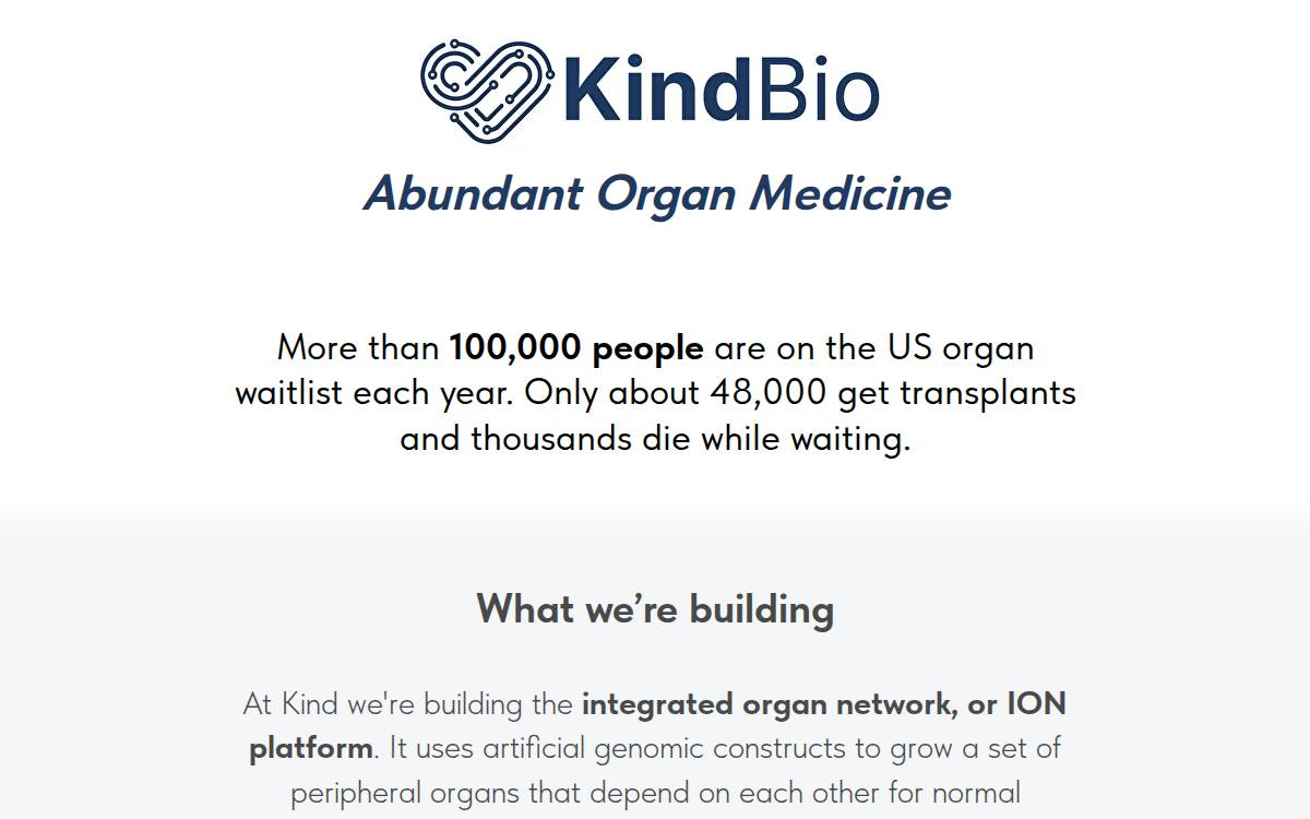 Kindbiotechnology website preview