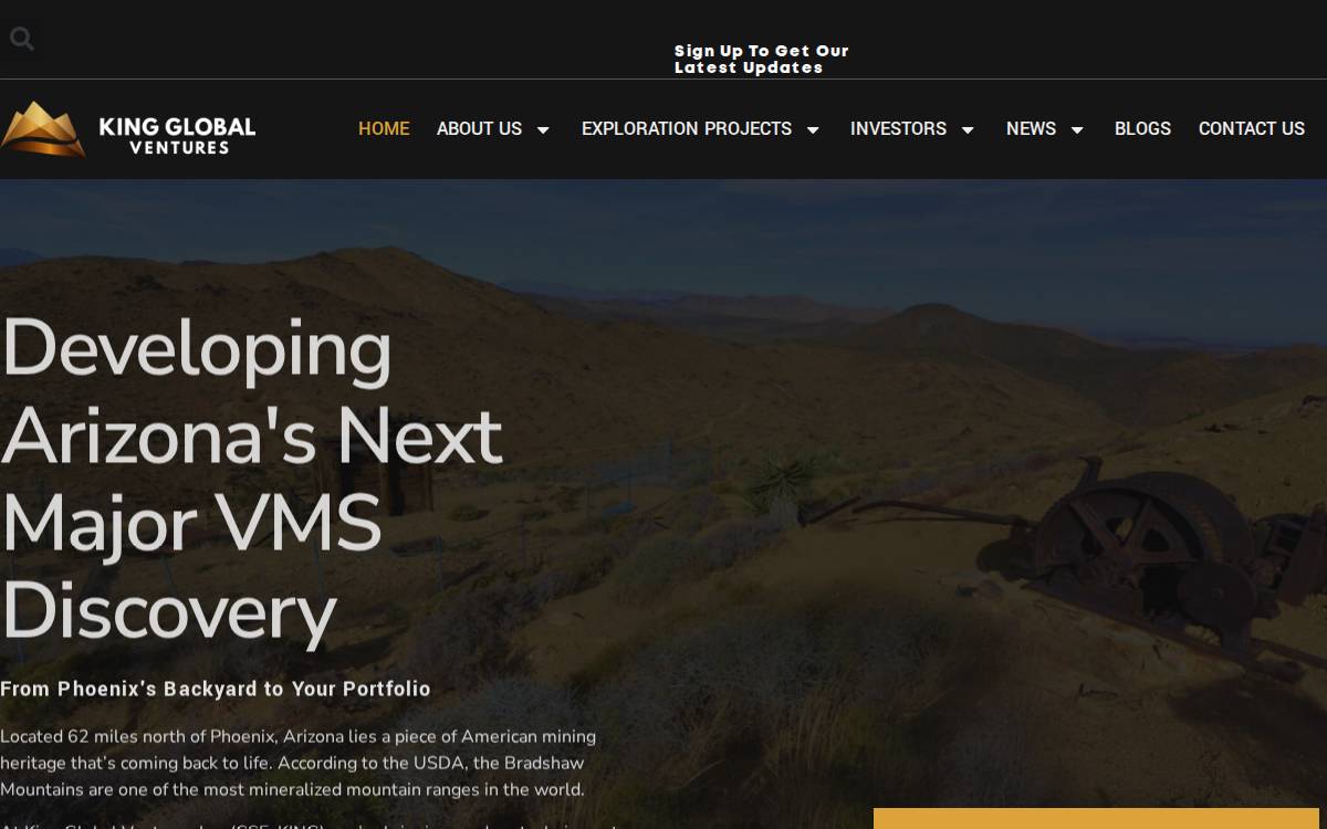 King Global Ventures website preview