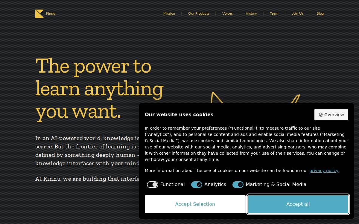 Kinnu website preview