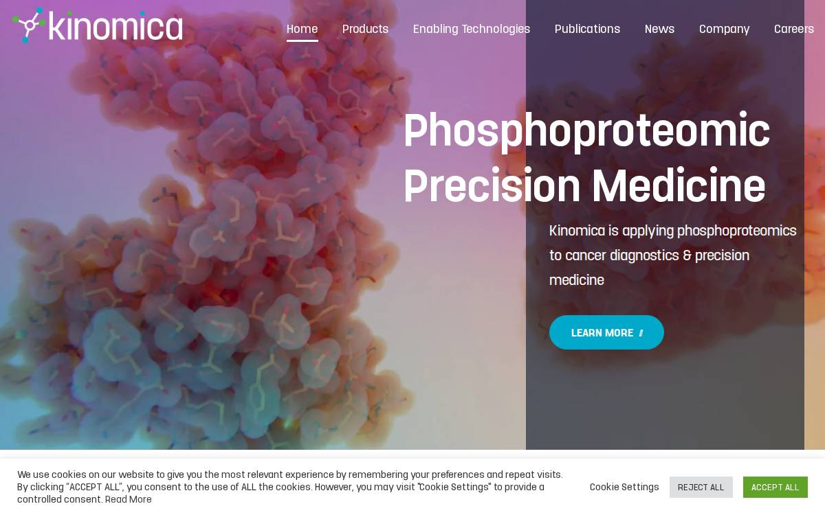 Kinomica website preview