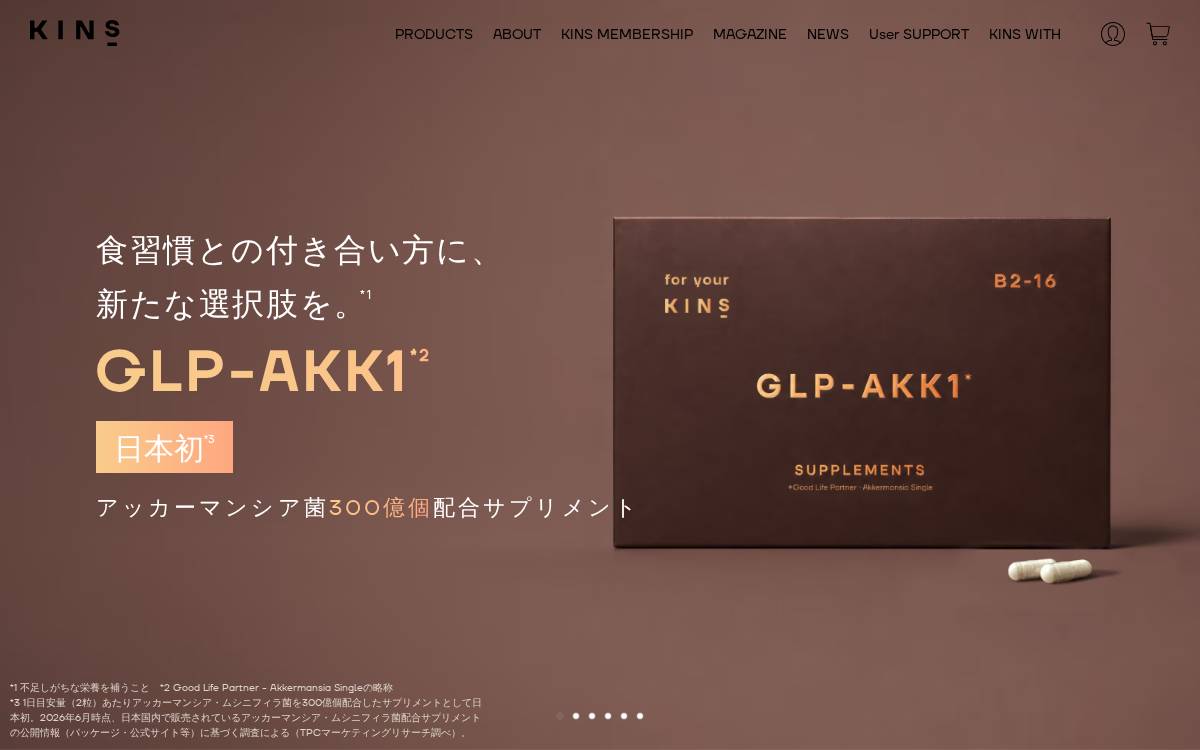株式会社KINS website preview