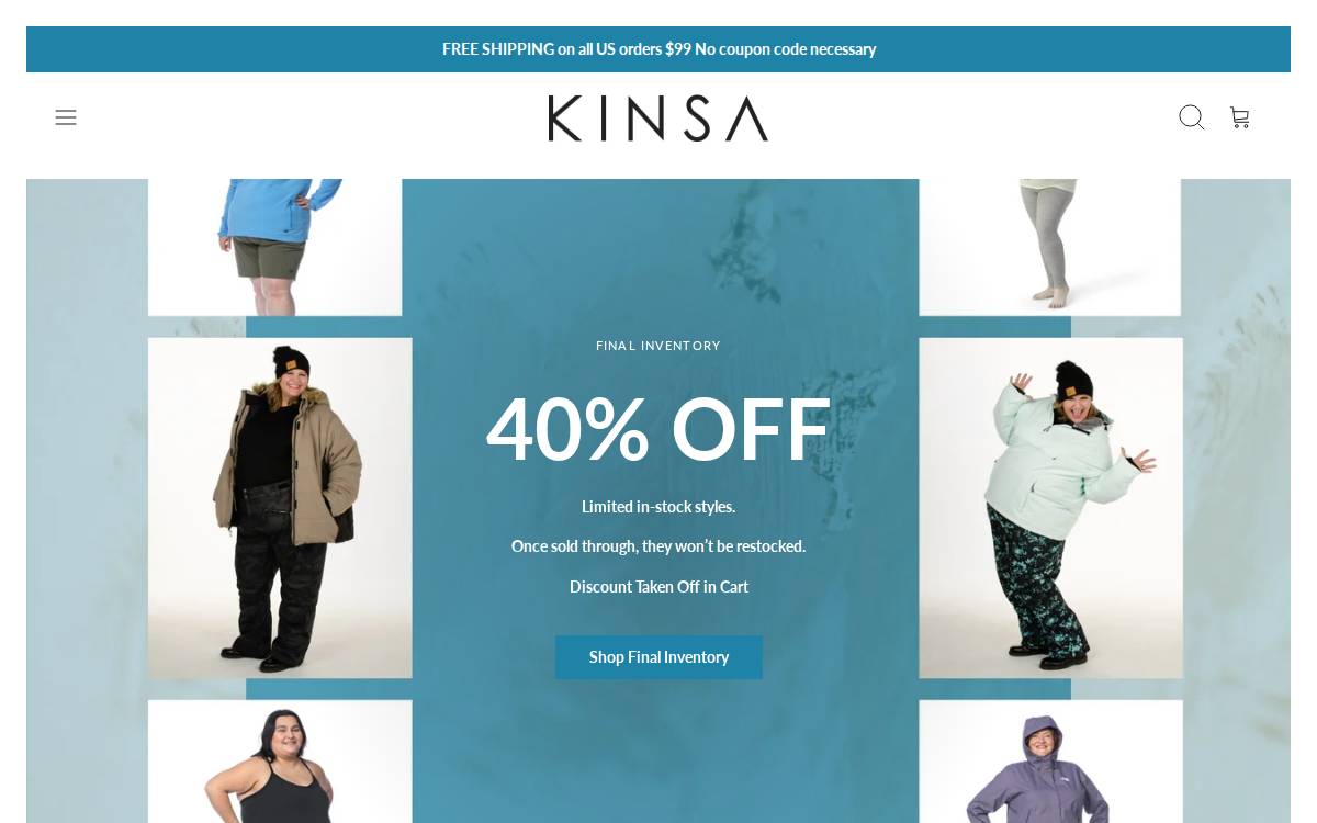 Kinsaactive website preview