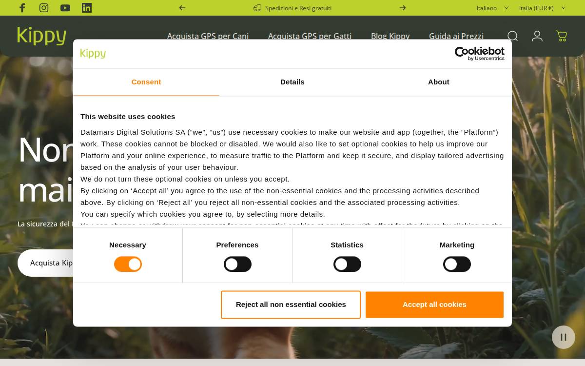 Kippy website preview