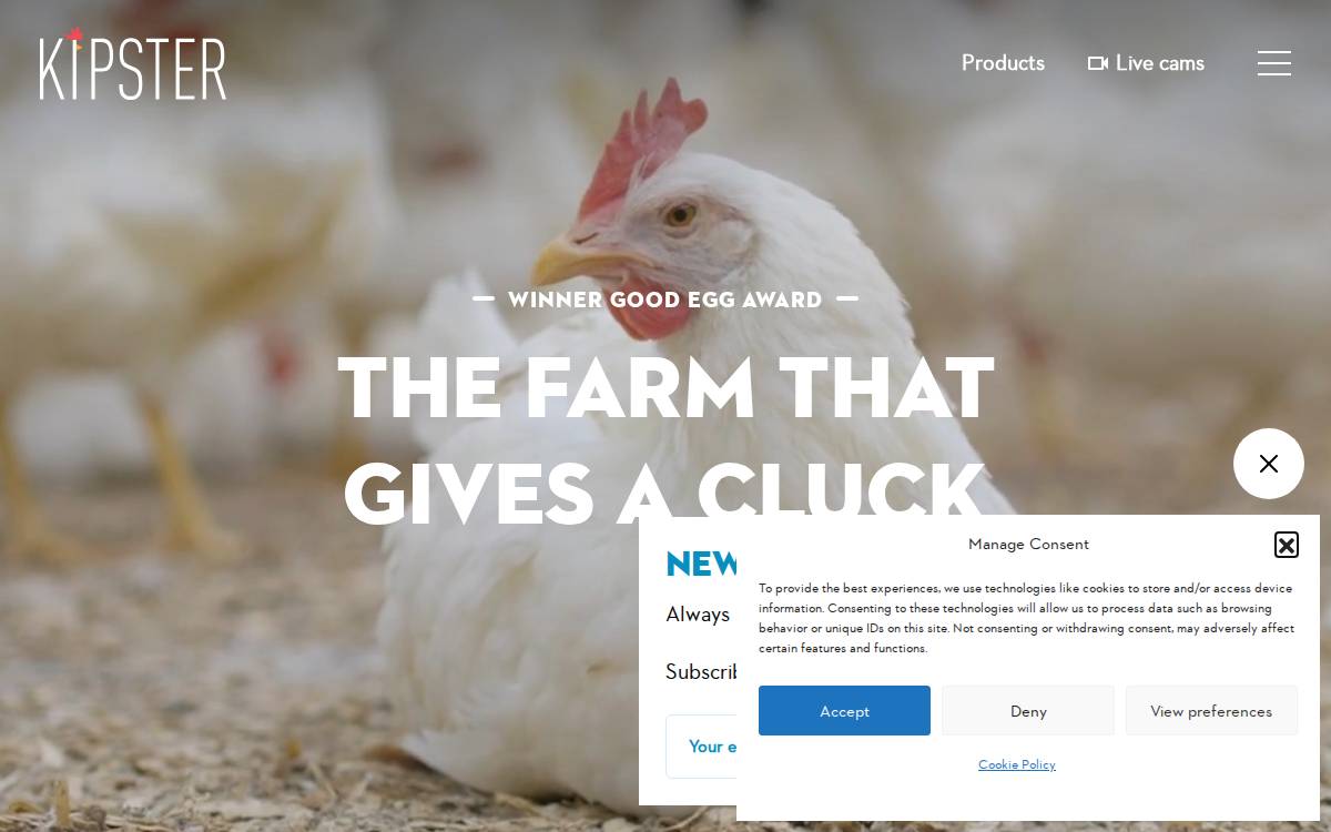 Kipster website preview