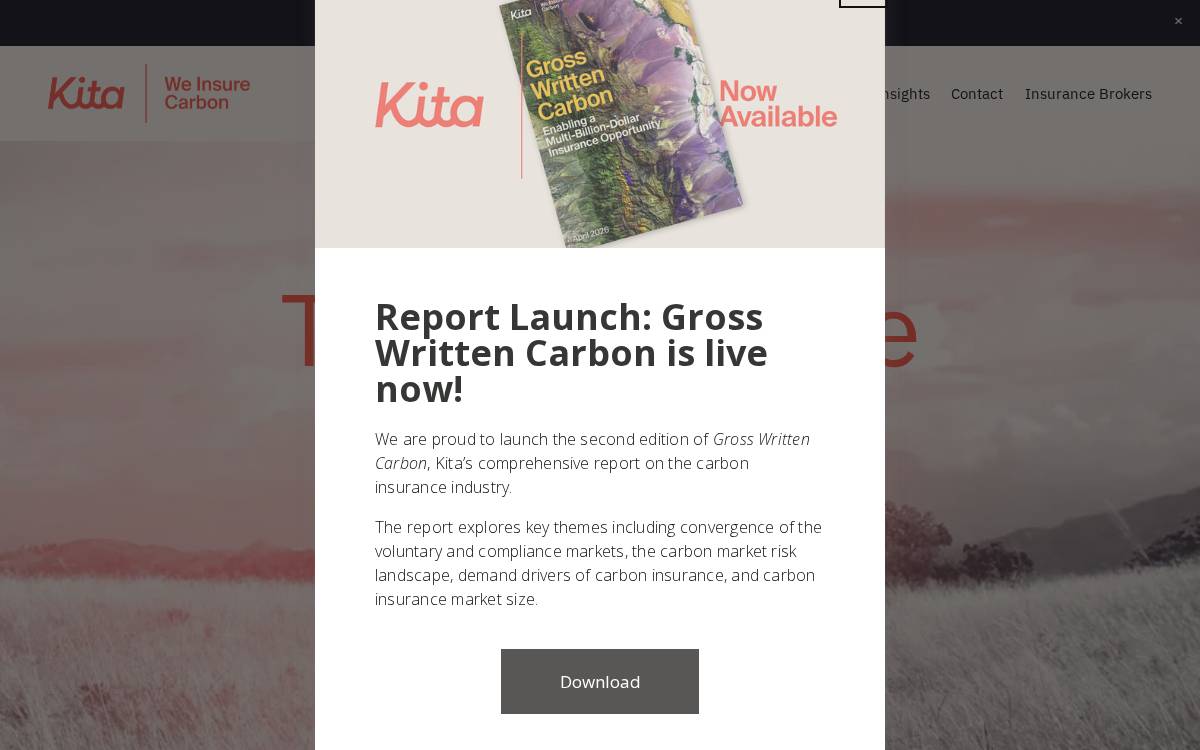 Kita Earth website preview