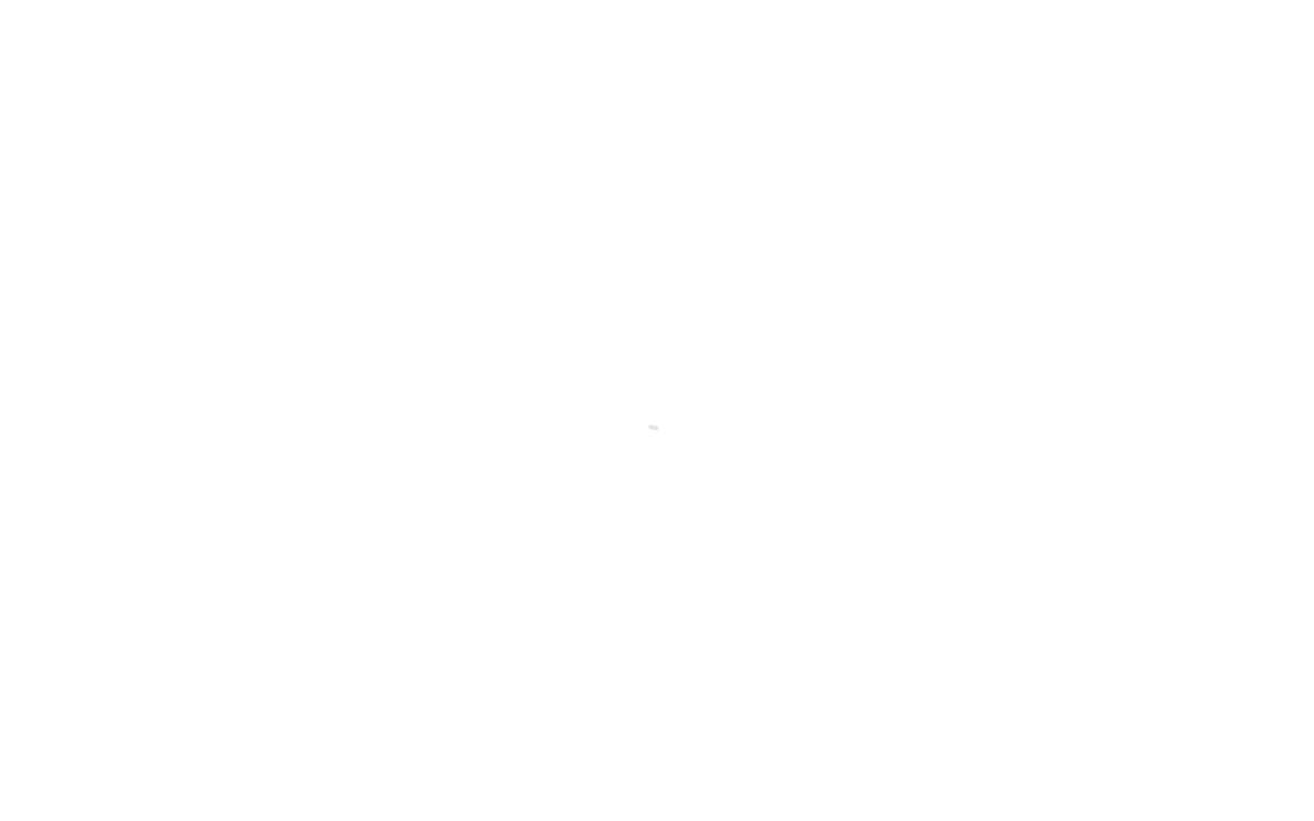 Kittl website preview