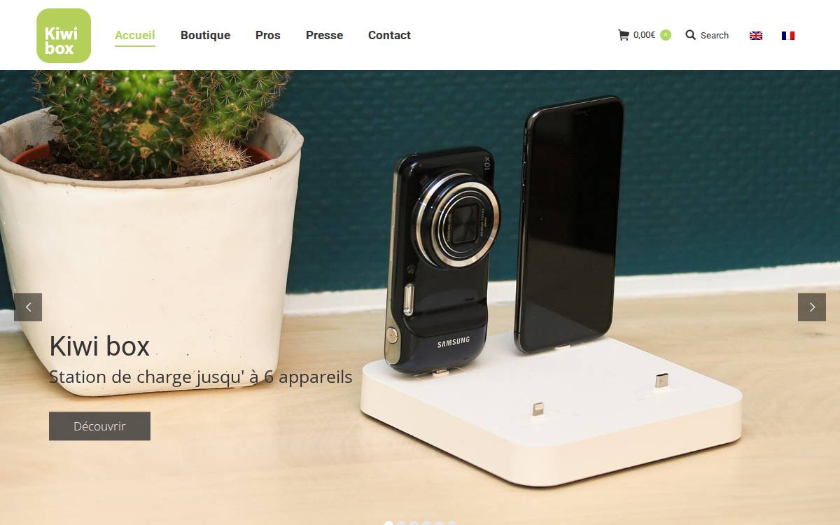 Kiwi box website preview