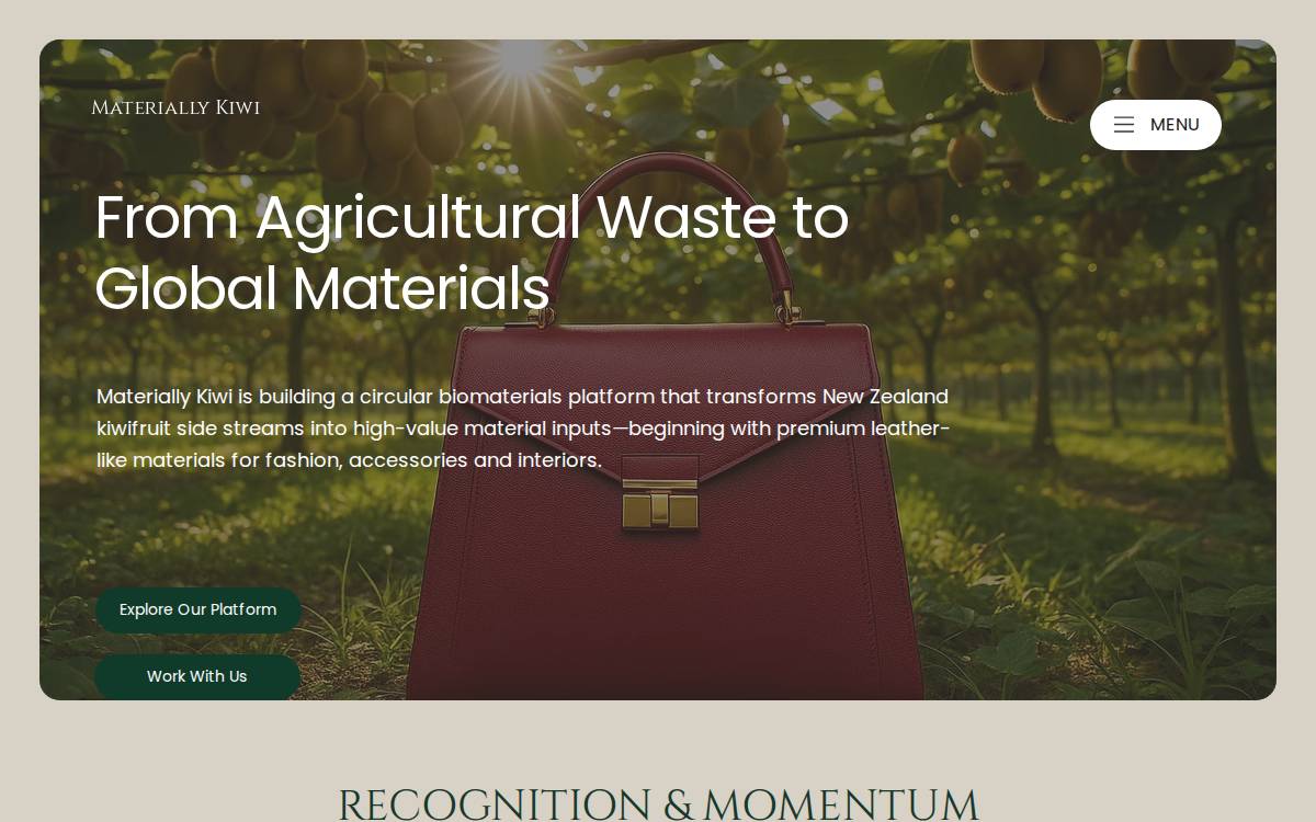 Kiwileatherinnovations website preview