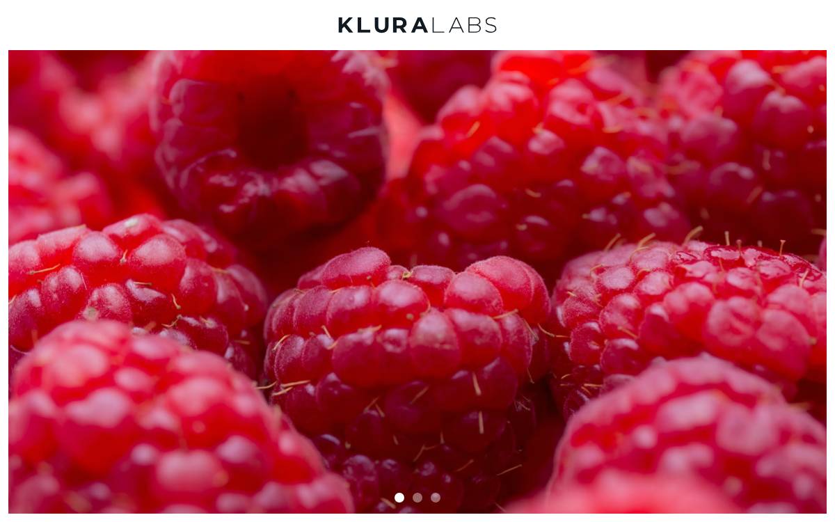 Klura Labs website preview
