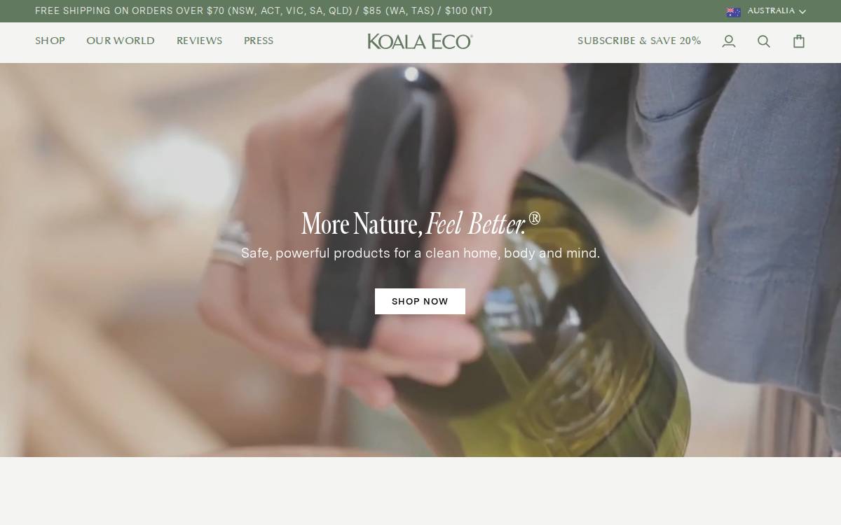 Koala website preview