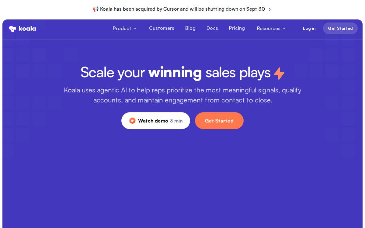 Koala website preview