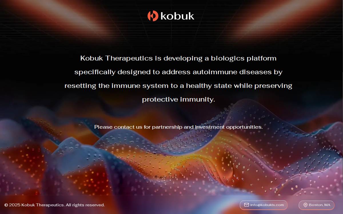 Kobuktx website preview
