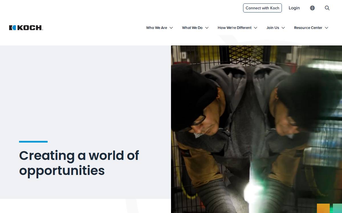 Koch website preview