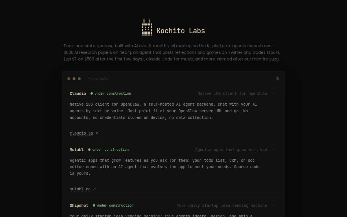 Kochito Labs website preview
