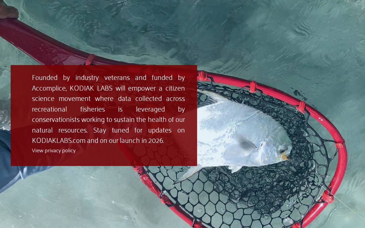 Kodiak Labs website preview