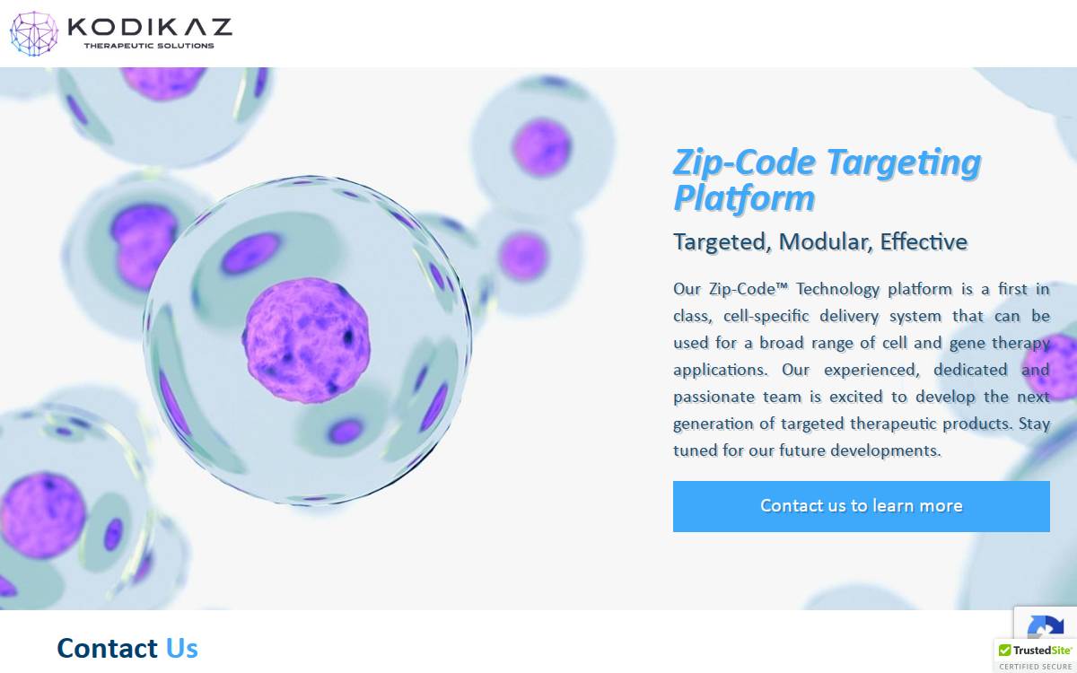 Kodikaz website website preview