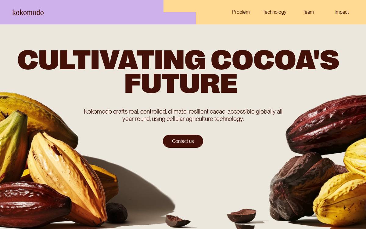 Kokomodo website preview