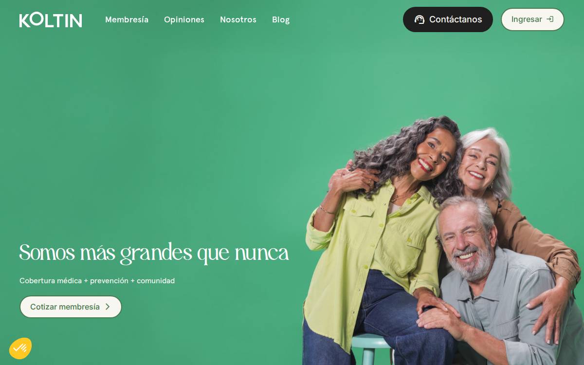 Koltin website preview
