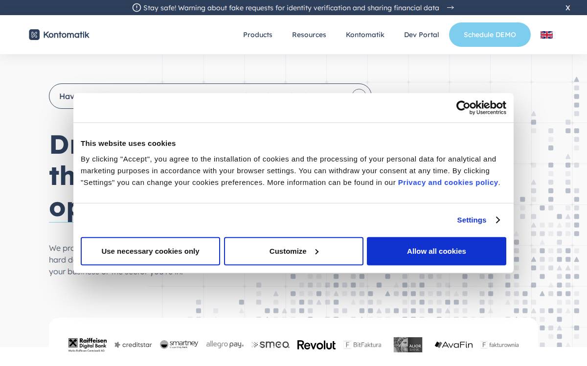 Kontomatik website preview