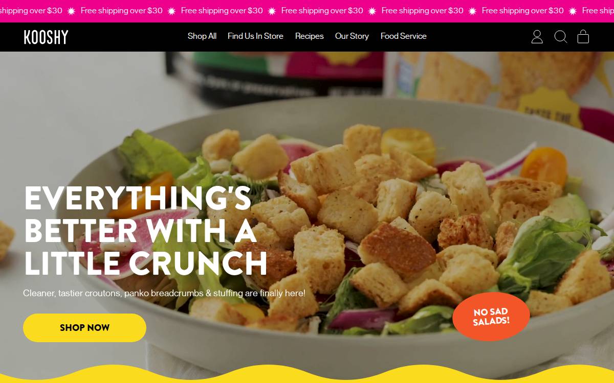 Kooshy website preview