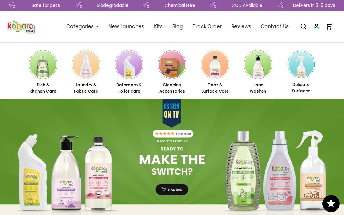 Koparoclean website preview