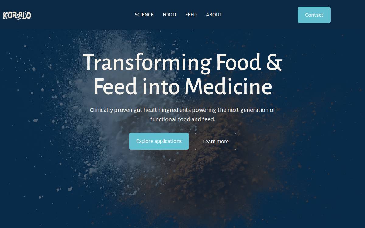 Koralo GmbH website preview