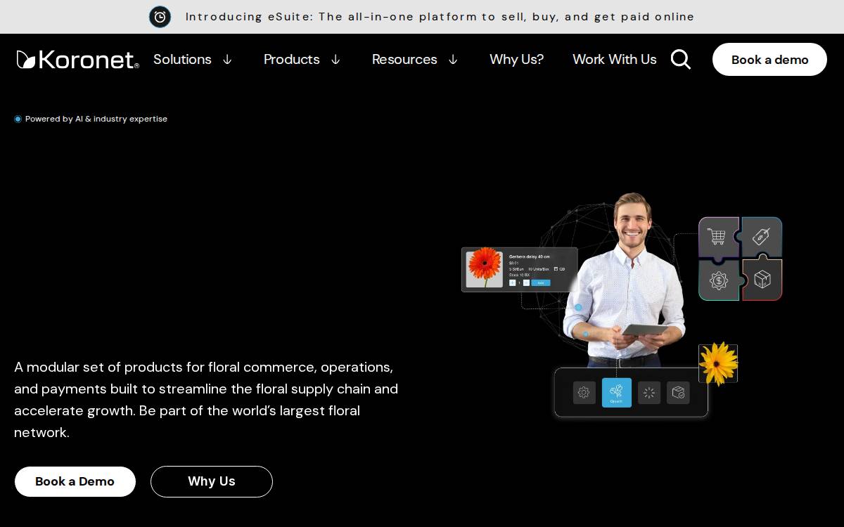 Koronet website preview