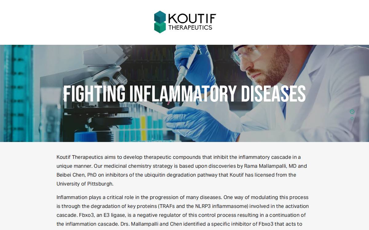 Koutif Therapeutics website preview