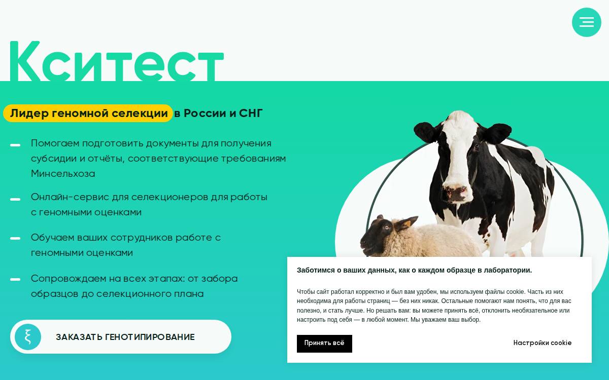 Ksitest website preview