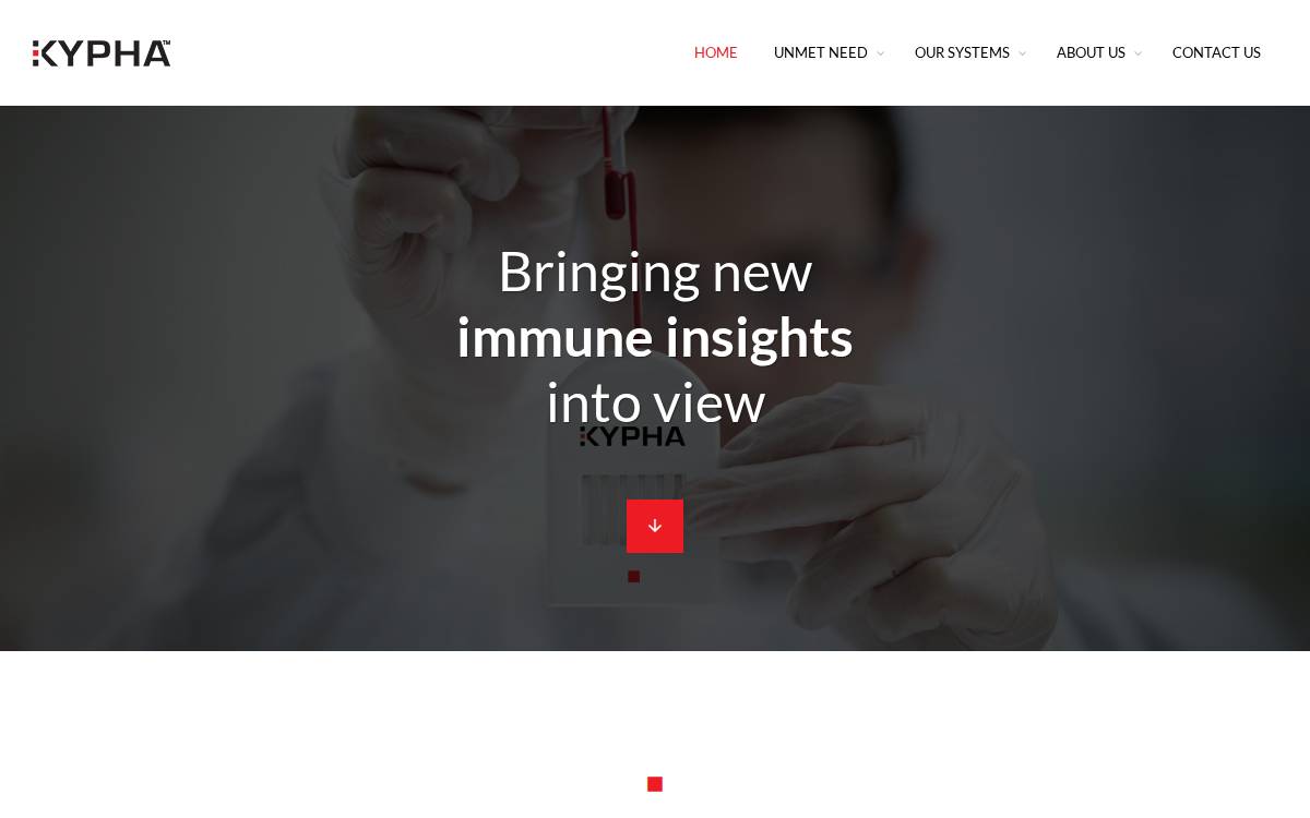 Kypha website preview