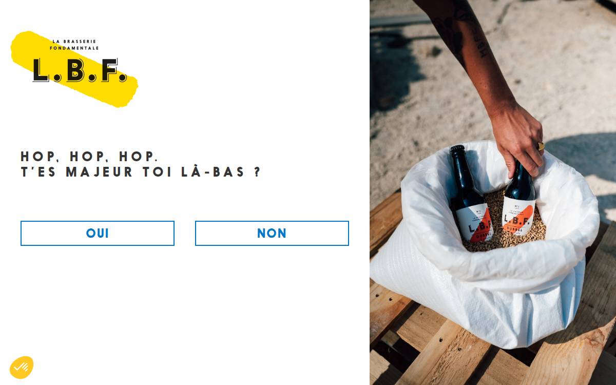 La Brasserie Fondamentale website preview