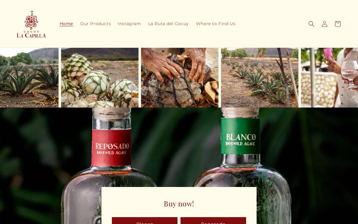 La Capilla website preview