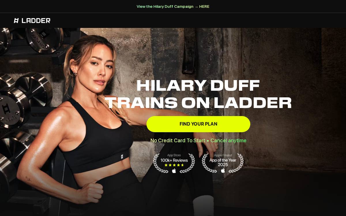 Ladder website preview