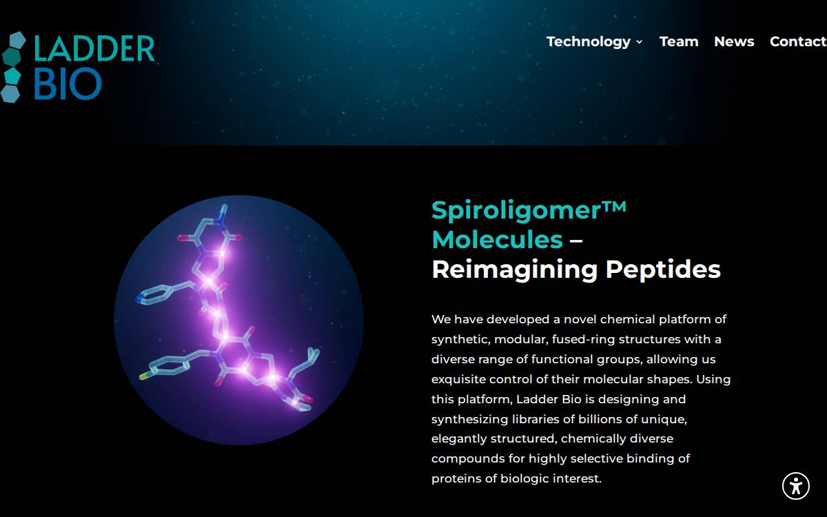 Ladderbio website preview