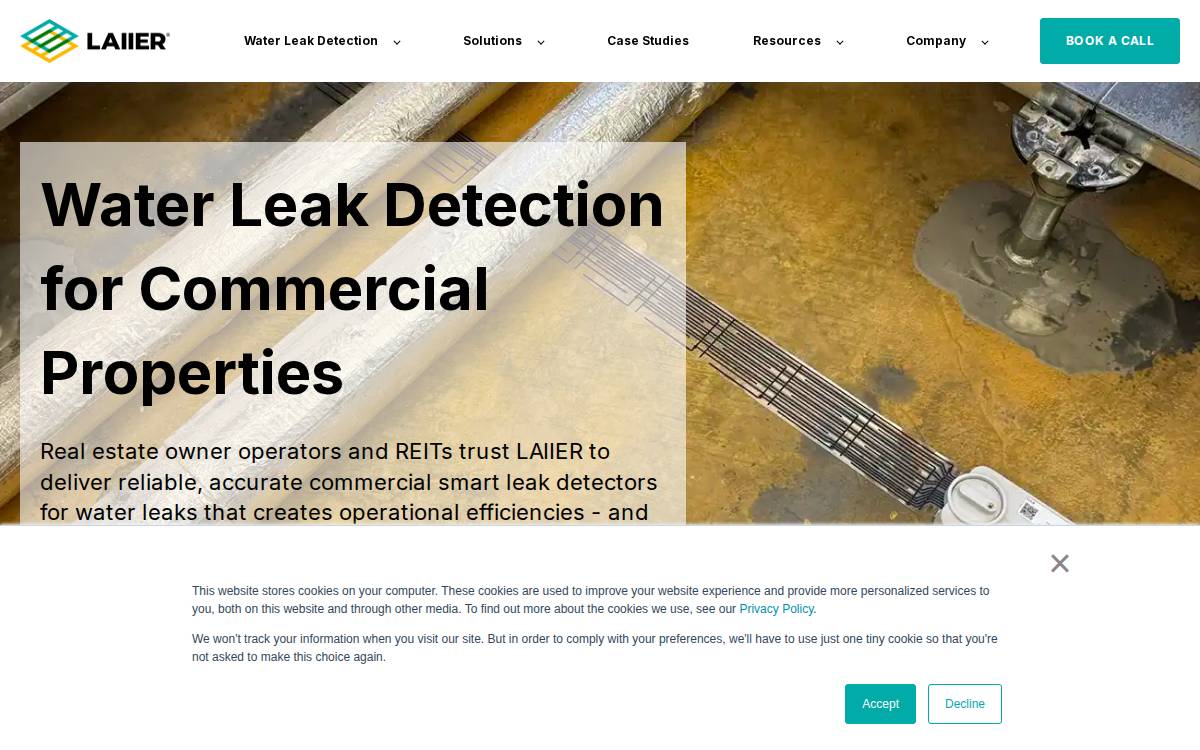 Laiier website preview