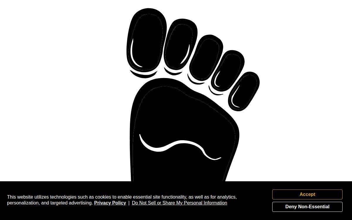 Laika website preview